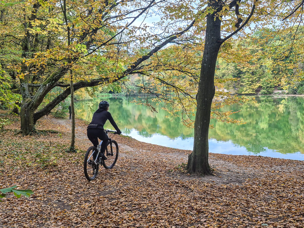 Balade à vélo en forêt de Meudon