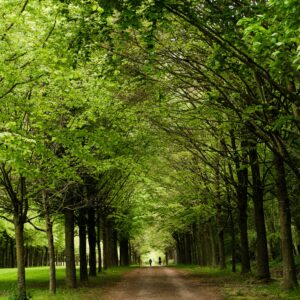 Versailles côté nature (sortie privée)
