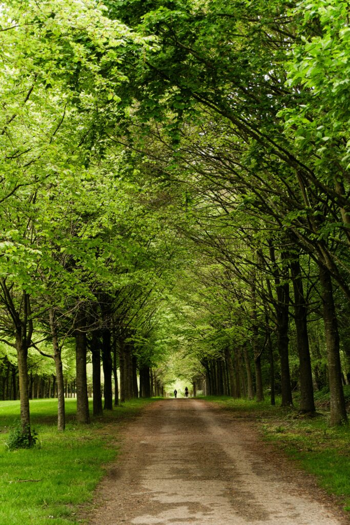Versailles côté nature (sortie privée)